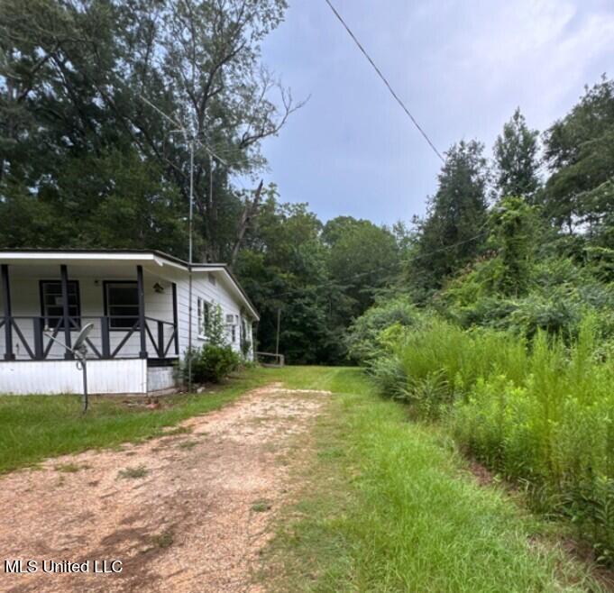 28 Bud Stevens Road Waynesboro, MS 39367 - Photo 2 of 15 Picture18