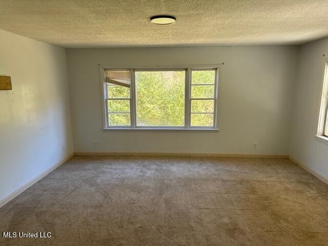 28 Bud Stevens Road Waynesboro, MS 39367 - Photo 5 of 15 unflagged_002