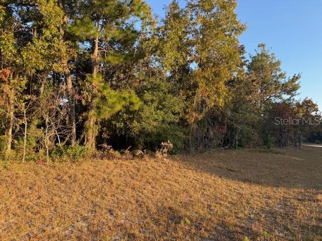 Tbd Southwest 138th Lane Ocala, FL 34473 - Photo 4 of 7 a view of a yard with a tree