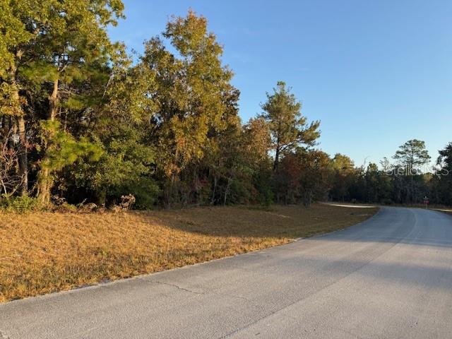 Tbd Southwest 138th Lane Ocala, FL 34473 - Photo 5 of 7 a view of basketball court