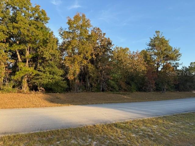 Tbd Southwest 138th Lane Ocala, FL 34473 - Photo 6 of 7 a view of a yard