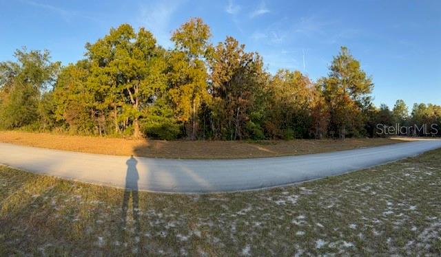 Tbd Southwest 138th Lane Ocala, FL 34473 - Photo 7 of 7 a view of a yard with an tree