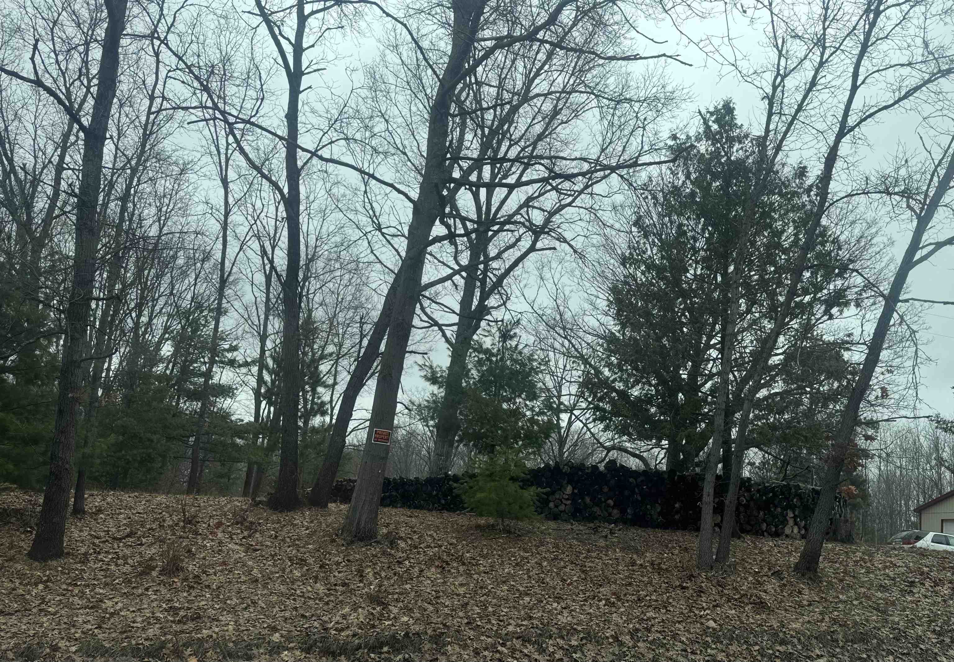 7620 Monroe Road Lake, MI 48632 - Photo 8 of 9
