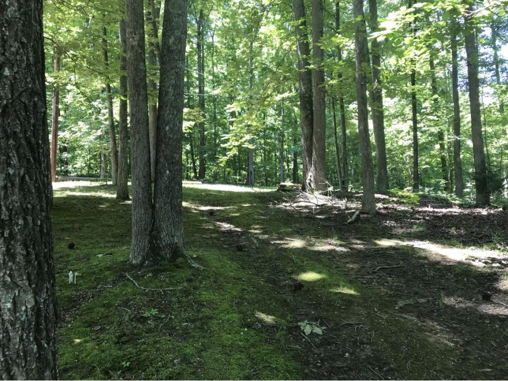 337 Em Cross Road Piney Flats, TN 37686 - Photo 18 of 36 Photo 18