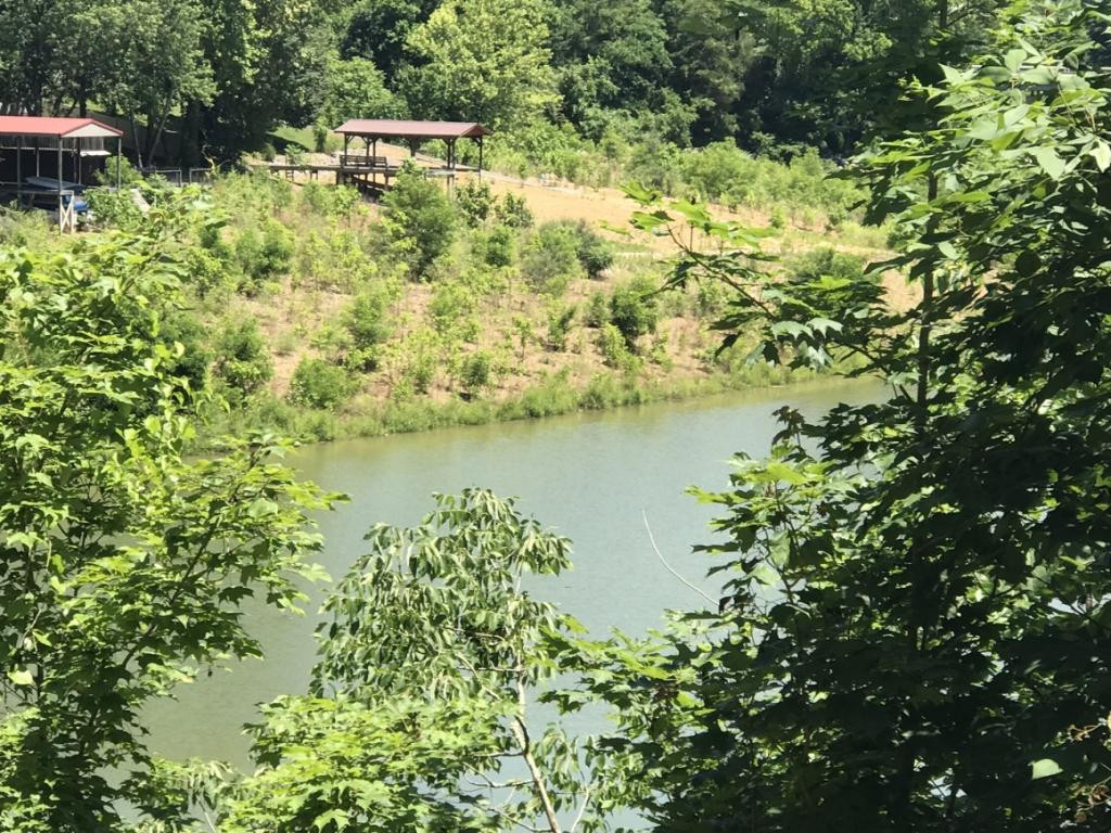 337 Em Cross Road Piney Flats, TN 37686 - Photo 24 of 36 Photo 24