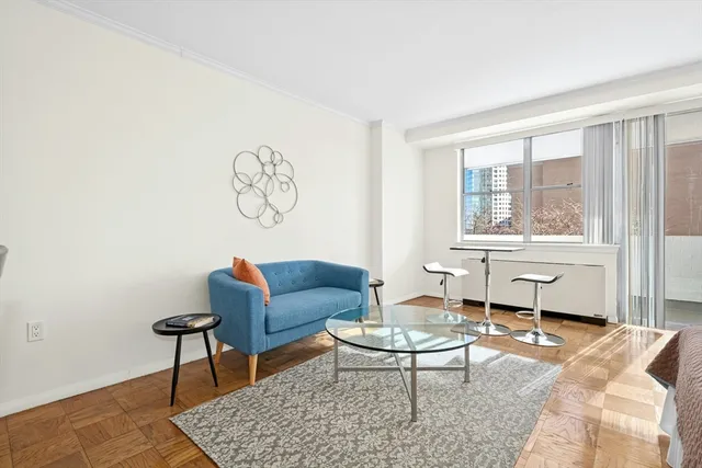 a living room with furniture a rug and a window