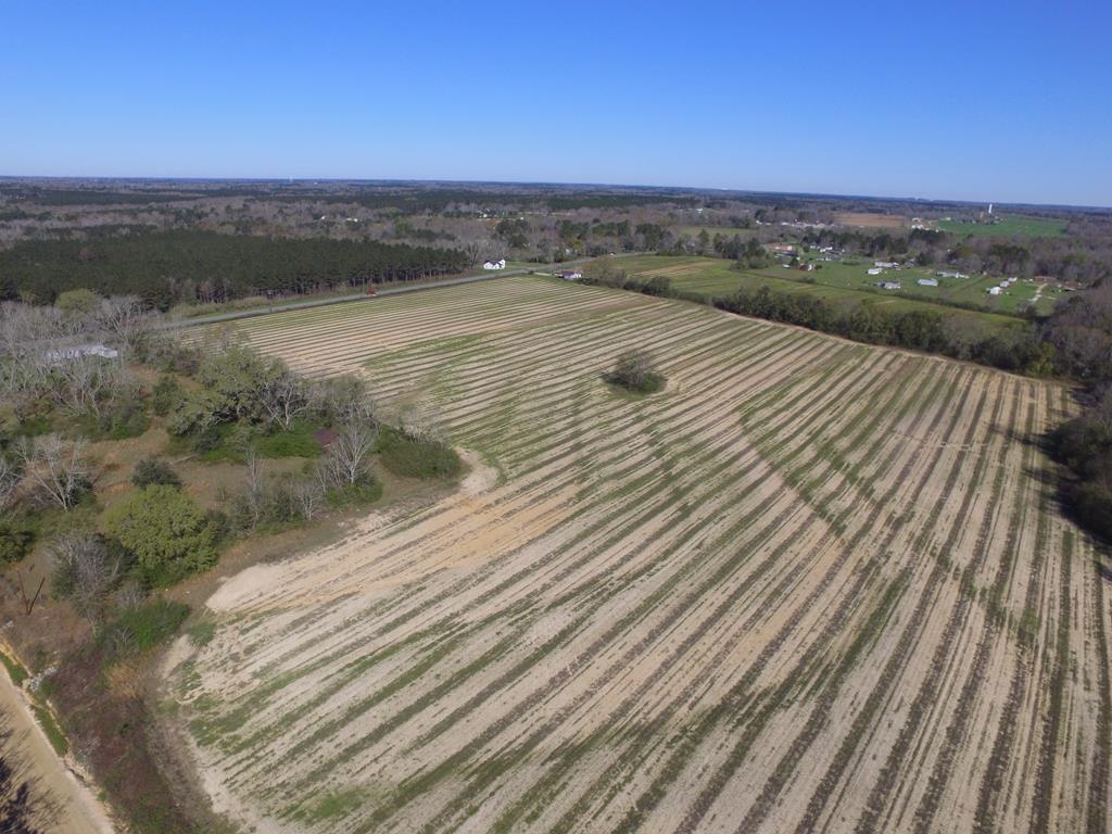 0 Cottonwood Road Dothan, AL 36301 - Photo 1 of 1