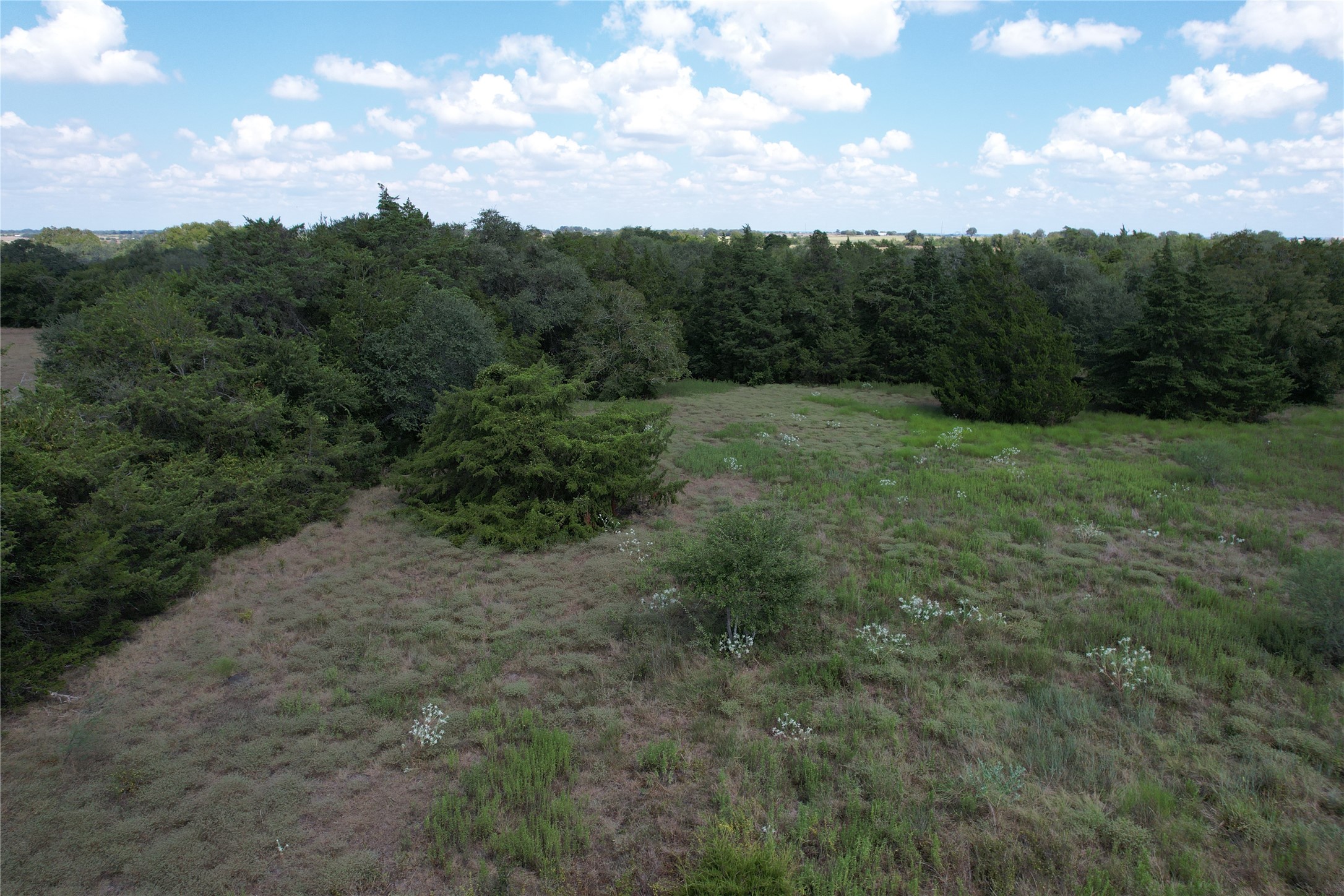 Tbd Peters Road Weimar, TX 78962 - Photo 7 of 13 Gallery Image 7