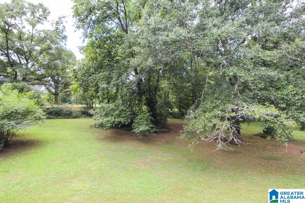 3974 Richeytown Road Oxford, AL 36203 - Photo 36 of 68