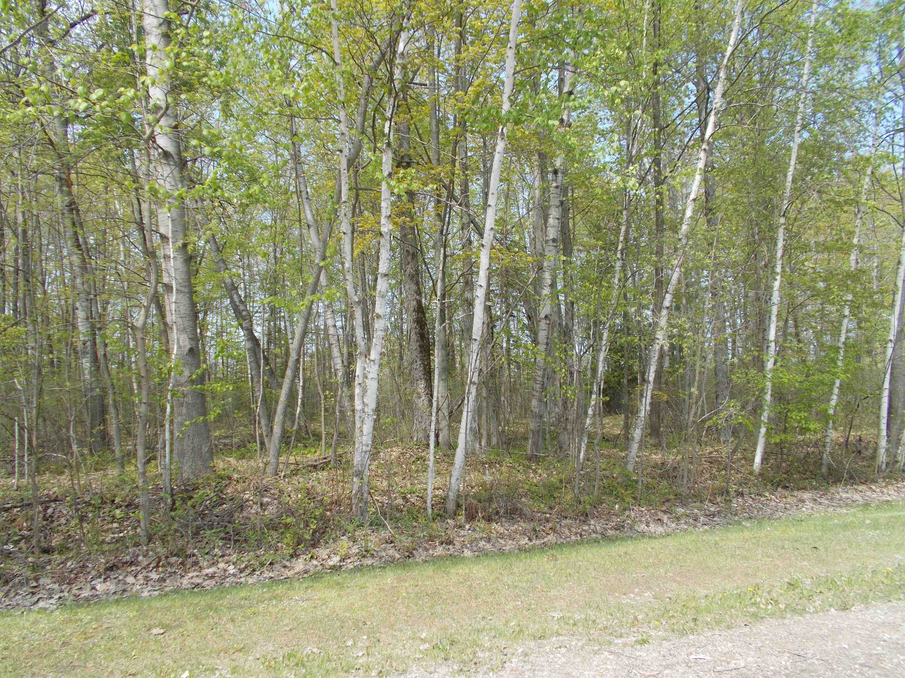 2995 Maple Road Hale, MI 48739 - Photo 4 of 19