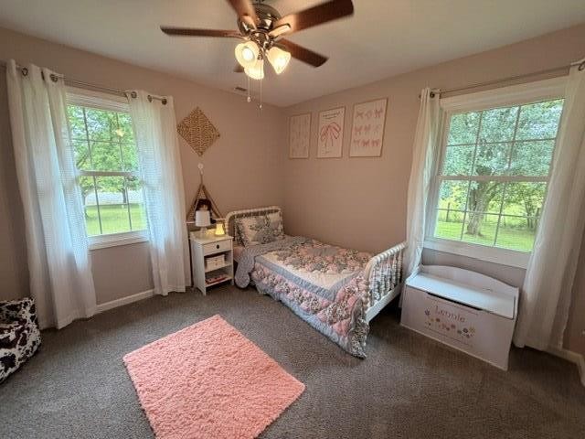 12945 Dawson Springs Road Crofton, KY 42217 - Photo 17 of 38