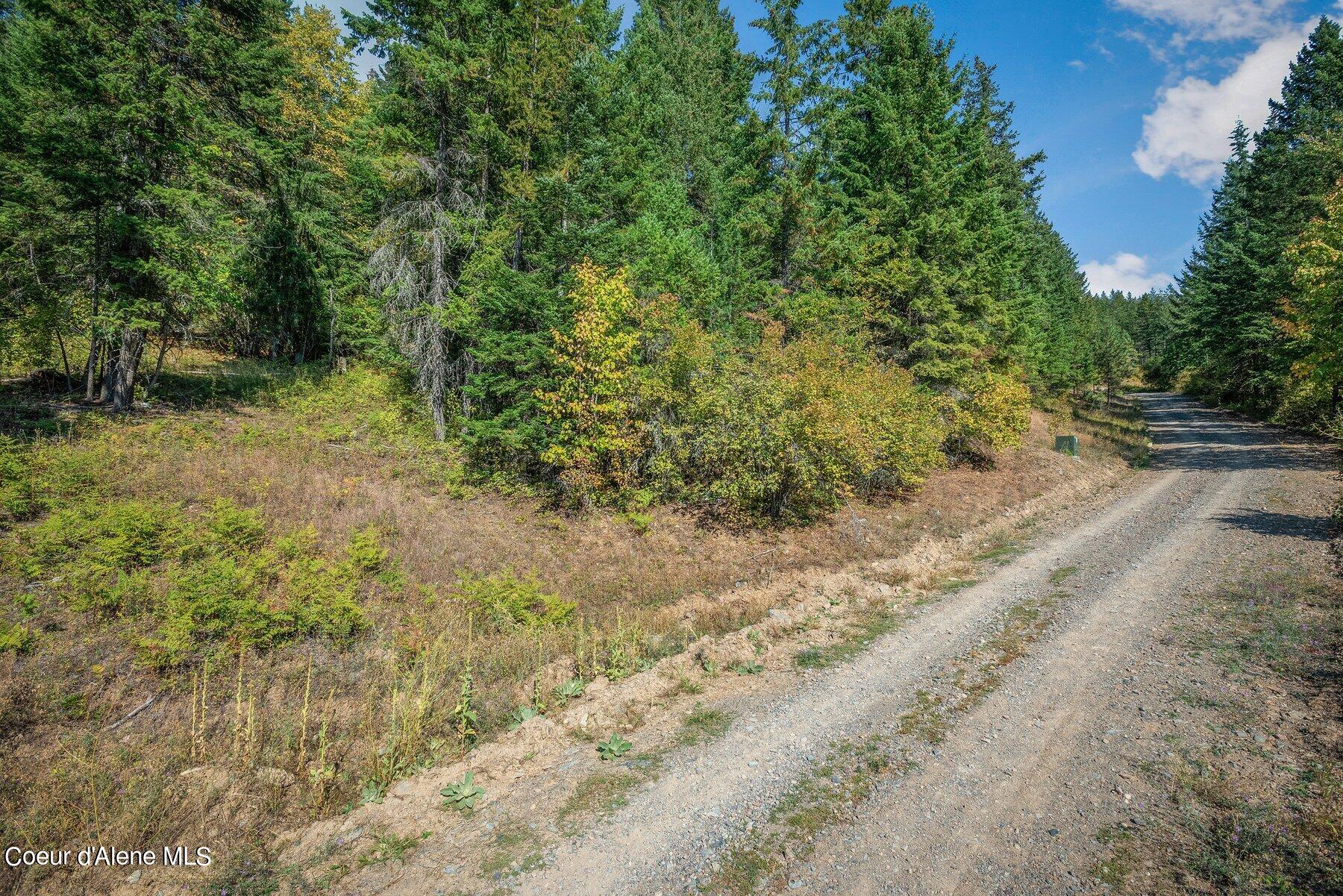 818 Silver Creek Road Clark Fork, ID 83811 - Photo 18 of 45 Roads Throughout