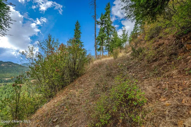 $285,000 | 818 Silver Creek Road, Clark Fork, ID 83811