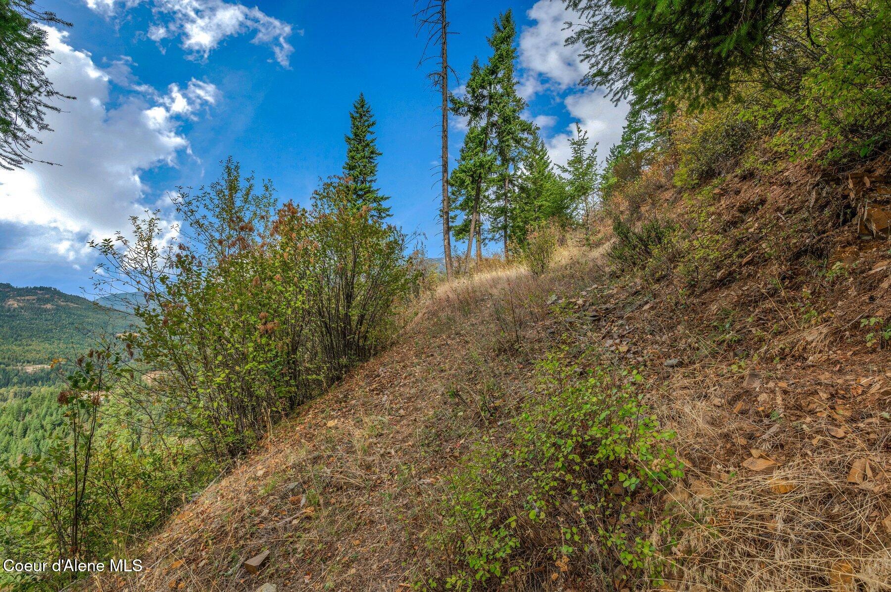 818 Silver Creek Road Clark Fork, ID 83811 - Photo 19 of 45 Steep