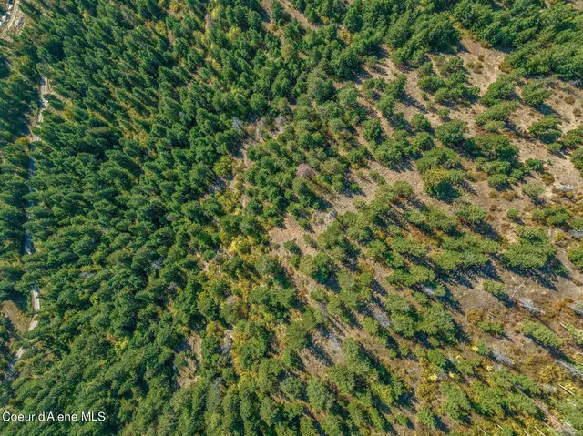 $285,000 | 818 Silver Creek Road, Clark Fork, ID 83811