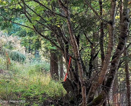 $285,000 | 818 Silver Creek Road, Clark Fork, ID 83811