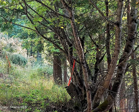 $285,000 | 818 Silver Creek Road, Clark Fork, ID 83811