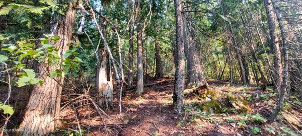 $285,000 | 818 Silver Creek Road, Clark Fork, ID 83811