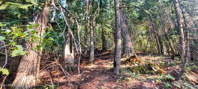 $285,000 | 818 Silver Creek Road, Clark Fork, ID 83811