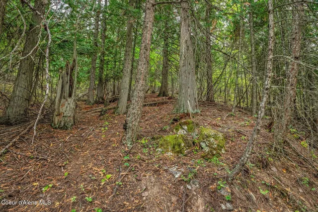 $285,000 | 818 Silver Creek Road, Clark Fork, ID 83811