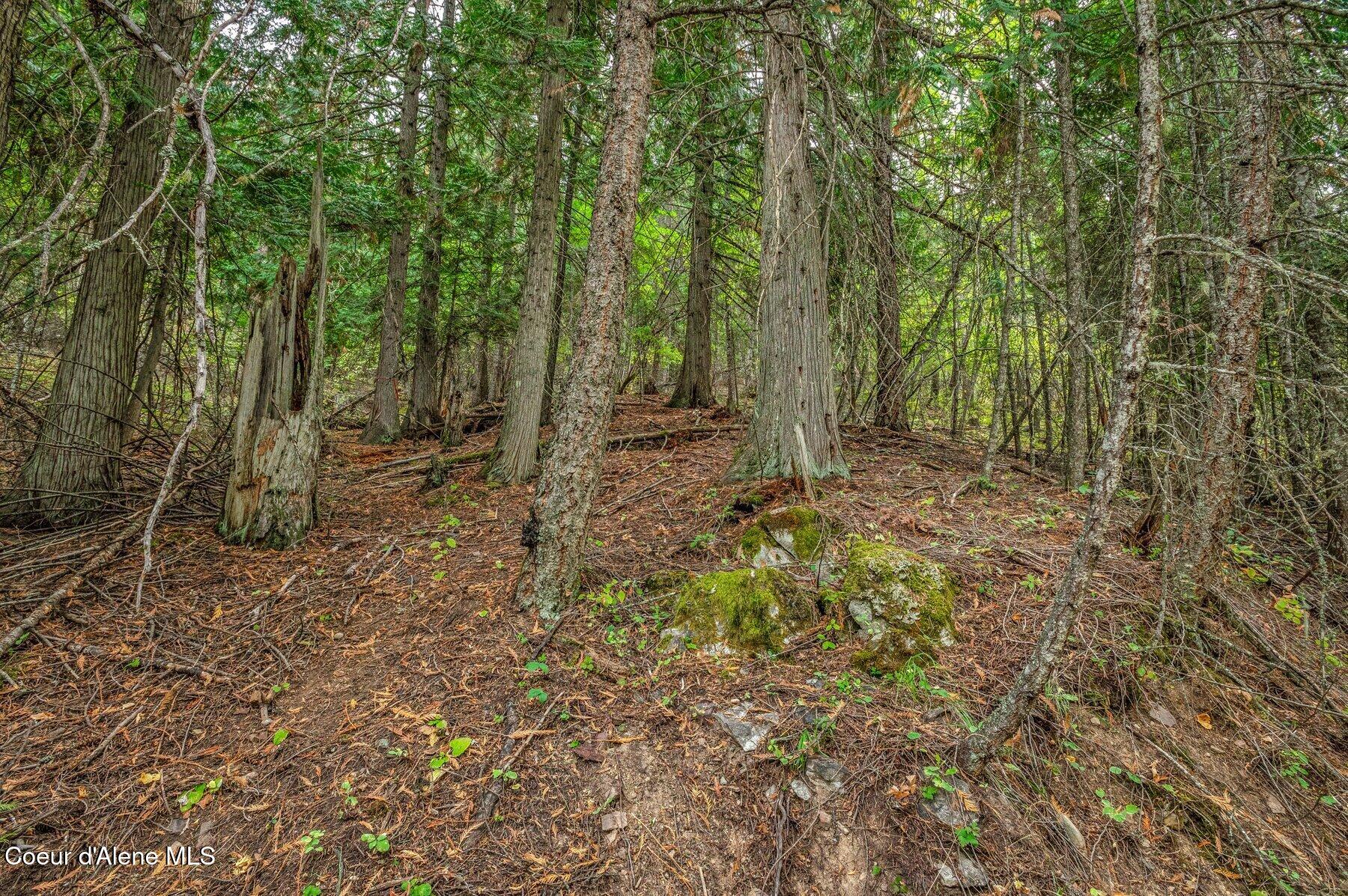 818 Silver Creek Road Clark Fork, ID 83811 - Photo 41 of 45 Below