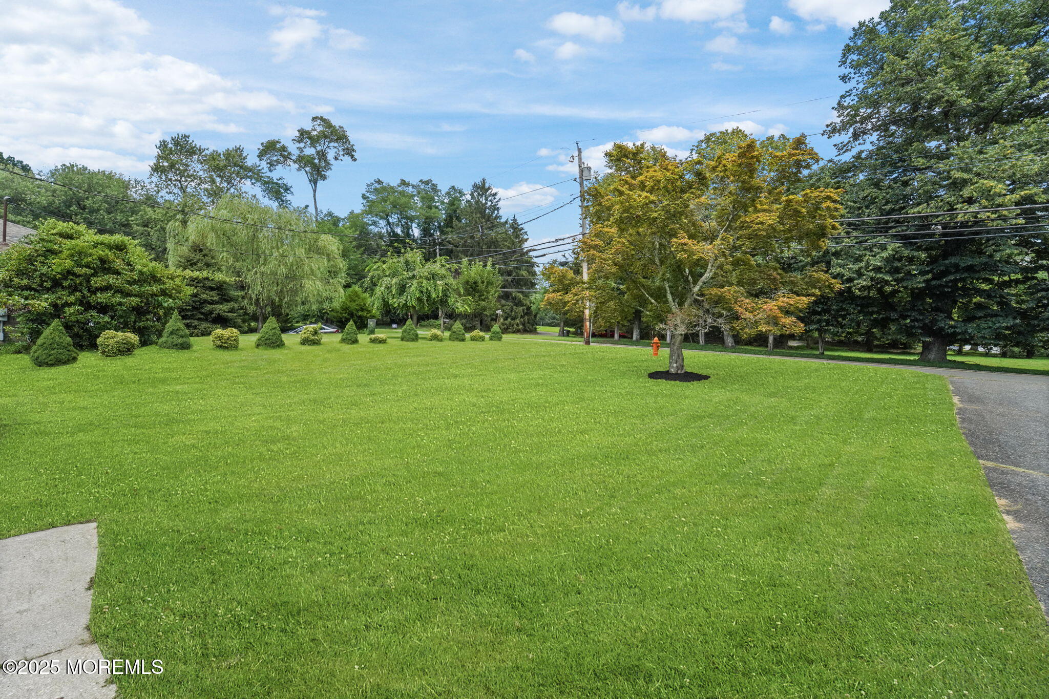 168 Pond Road Freehold, NJ 07728 - Photo 34 of 36 45-web-or-mls-DSC07831