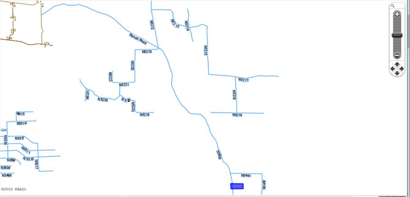 Lot 002 County Road Concho, AZ 85924 - Photo 4 of 8