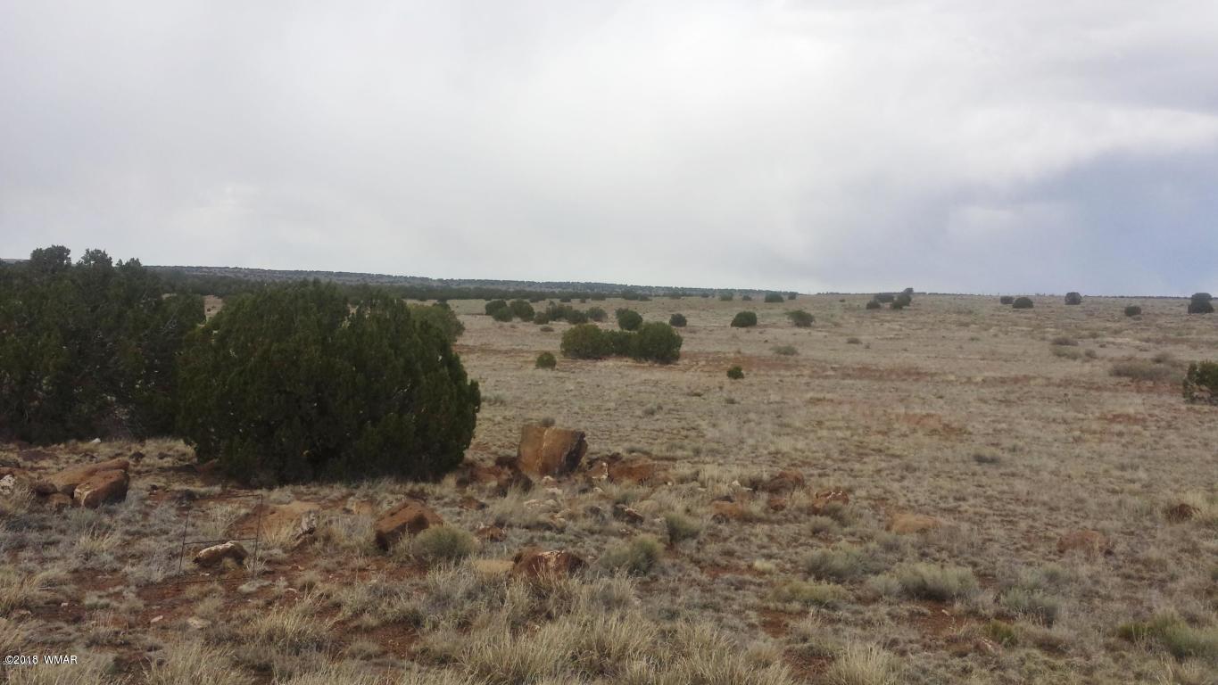 Lot 002 County Road Concho, AZ 85924 - Photo 6 of 8