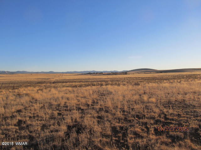 Lot 002 County Road Concho, AZ 85924 - Photo 8 of 8