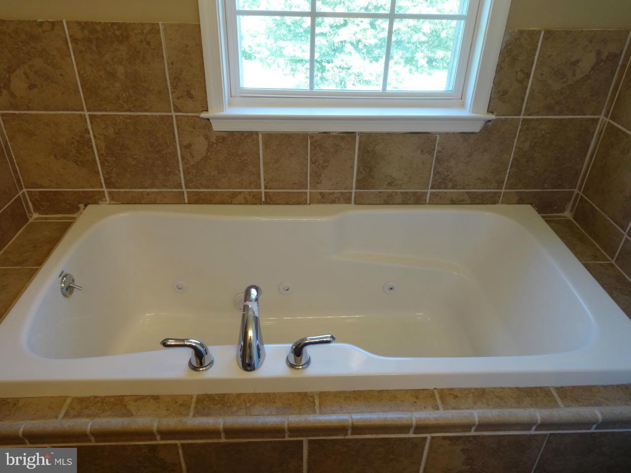 24414 Ruff Ruff Lane Hollywood, MD 20636 - Photo 14 of 14 Bath (Master)