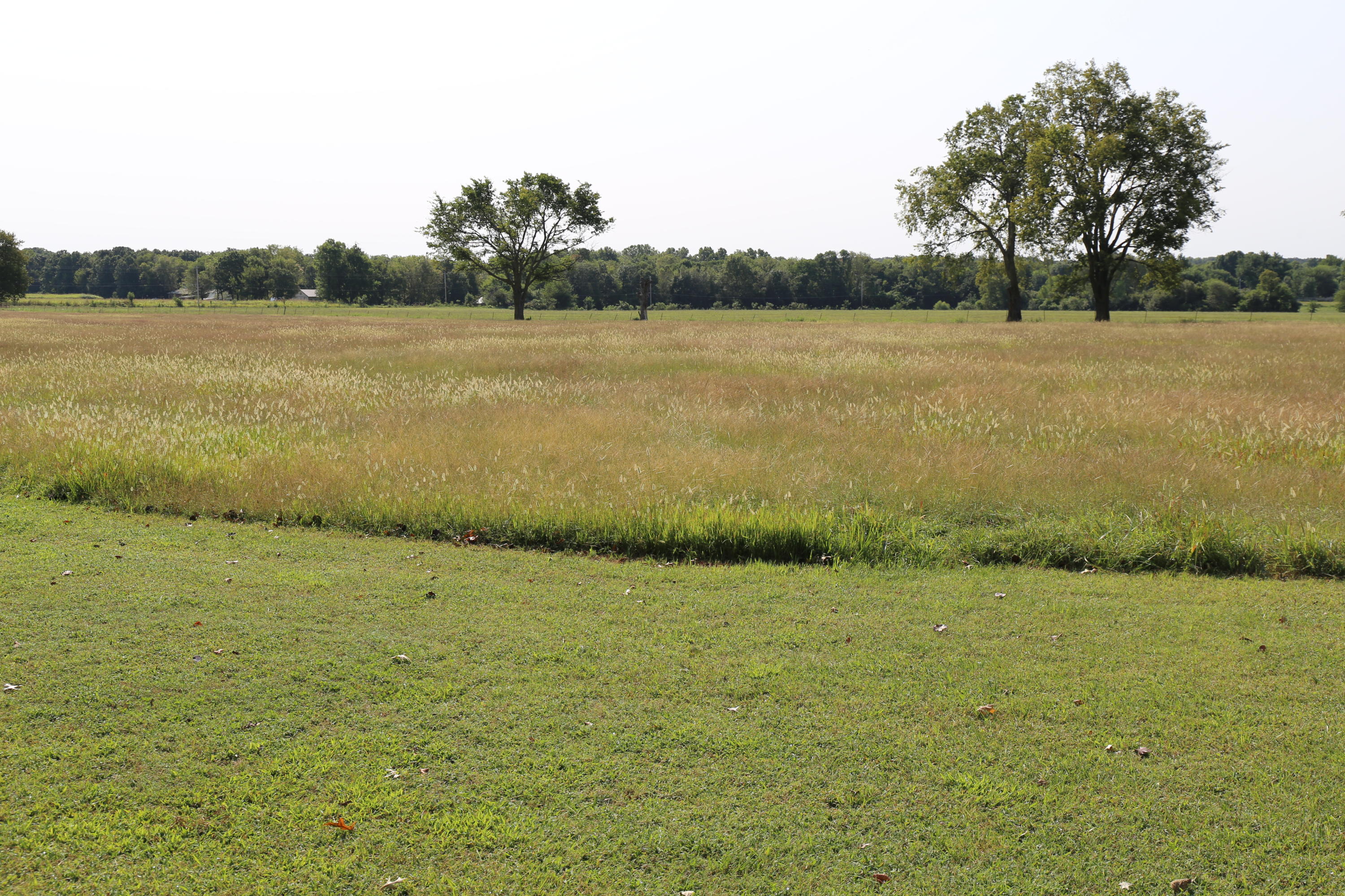 9401 South 616 Road Miami, OK 74354 - Photo 11 of 14 Gallery Image 11