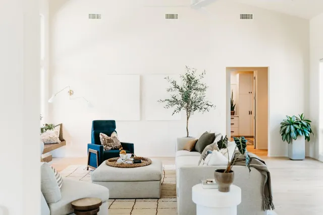 a living room with furniture a fireplace and a potted plant