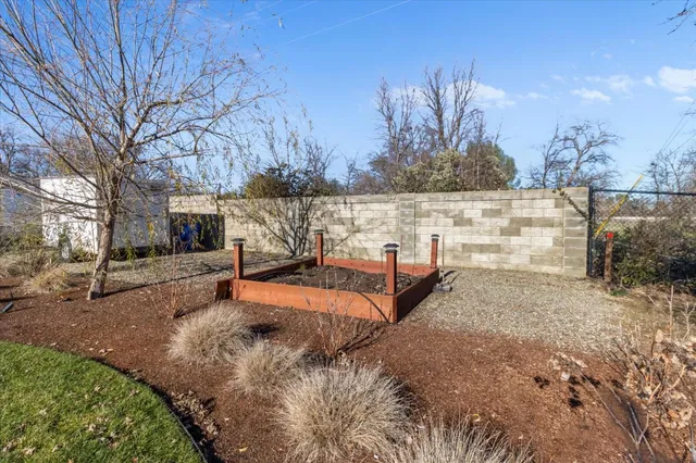 a view of a park with large trees