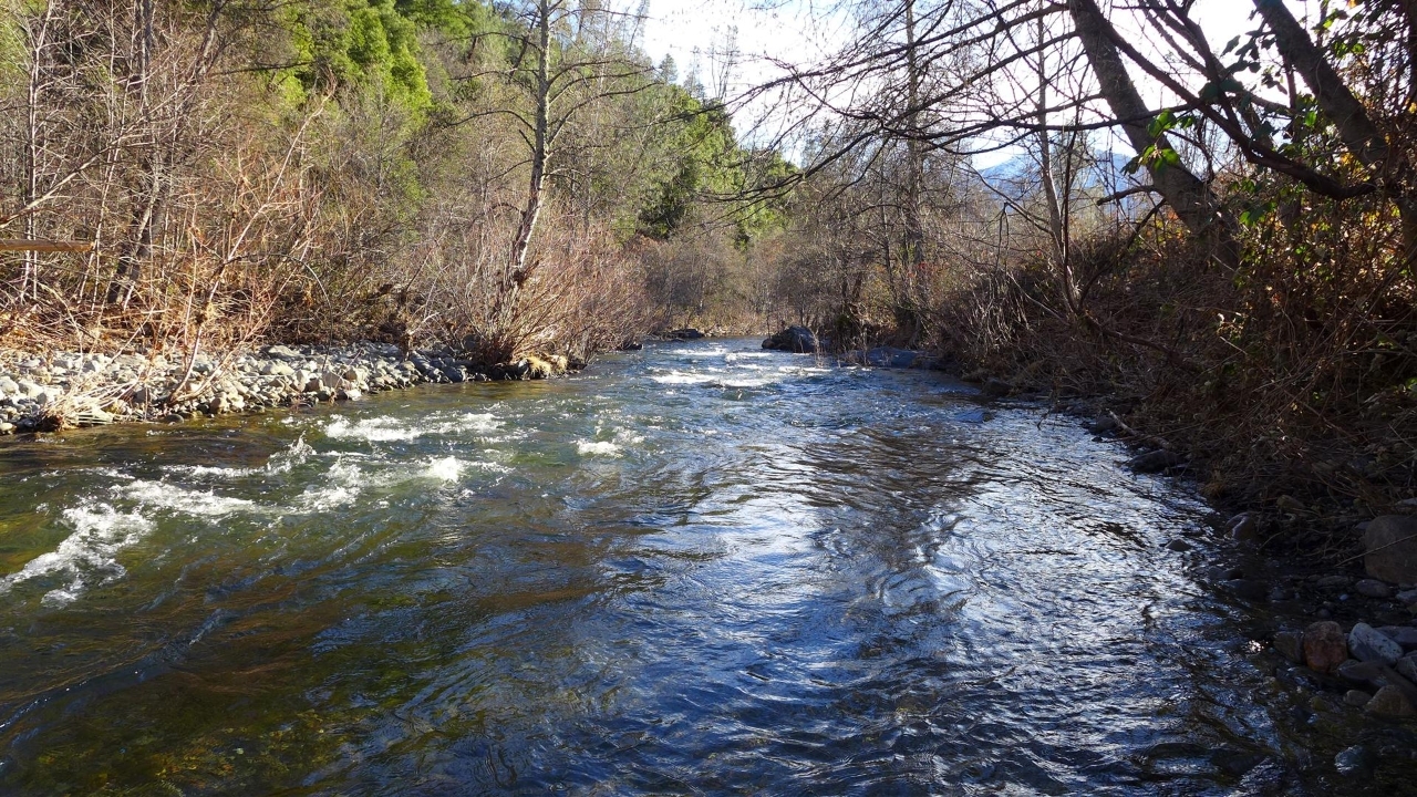 159-acres 159-acres Merry Mountain Road French Gulch, CA 96033 - Photo 1 of 26 1