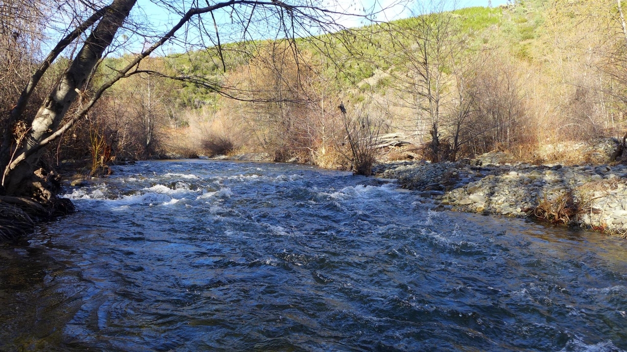 159-acres 159-acres Merry Mountain Road French Gulch, CA 96033 - Photo 11 of 26 P1000146