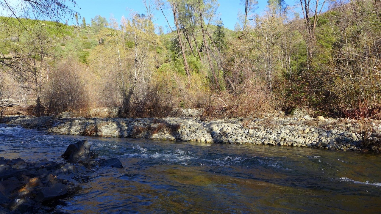 159-acres 159-acres Merry Mountain Road French Gulch, CA 96033 - Photo 12 of 26 P1000150