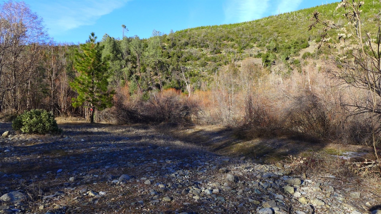 159-acres 159-acres Merry Mountain Road French Gulch, CA 96033 - Photo 13 of 26 P1000152