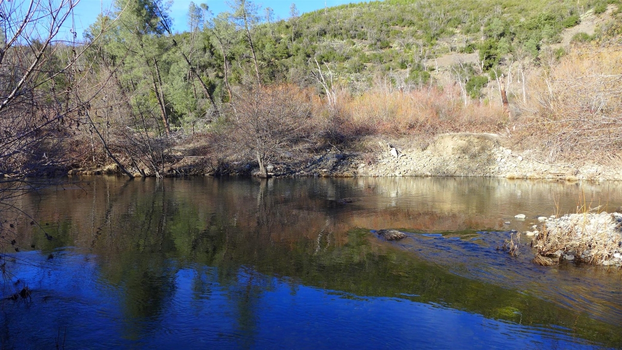 159-acres 159-acres Merry Mountain Road French Gulch, CA 96033 - Photo 14 of 26 P1000153
