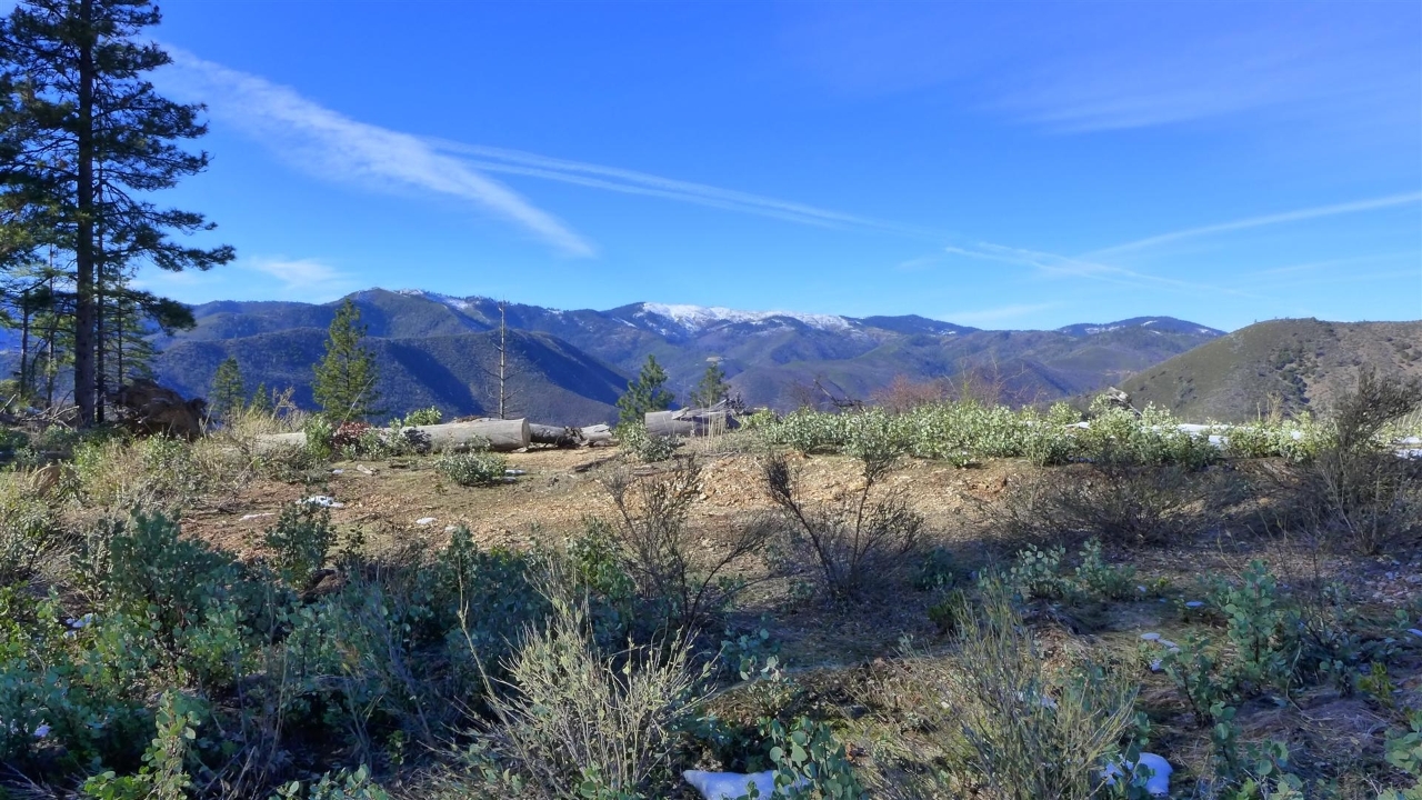 159-acres 159-acres Merry Mountain Road French Gulch, CA 96033 - Photo 16 of 26 P1000106