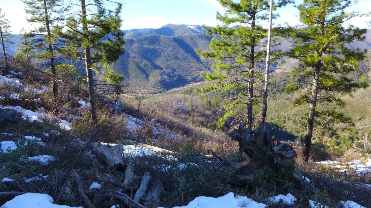 159-acres 159-acres Merry Mountain Road French Gulch, CA 96033 - Photo 18 of 26 P1000108