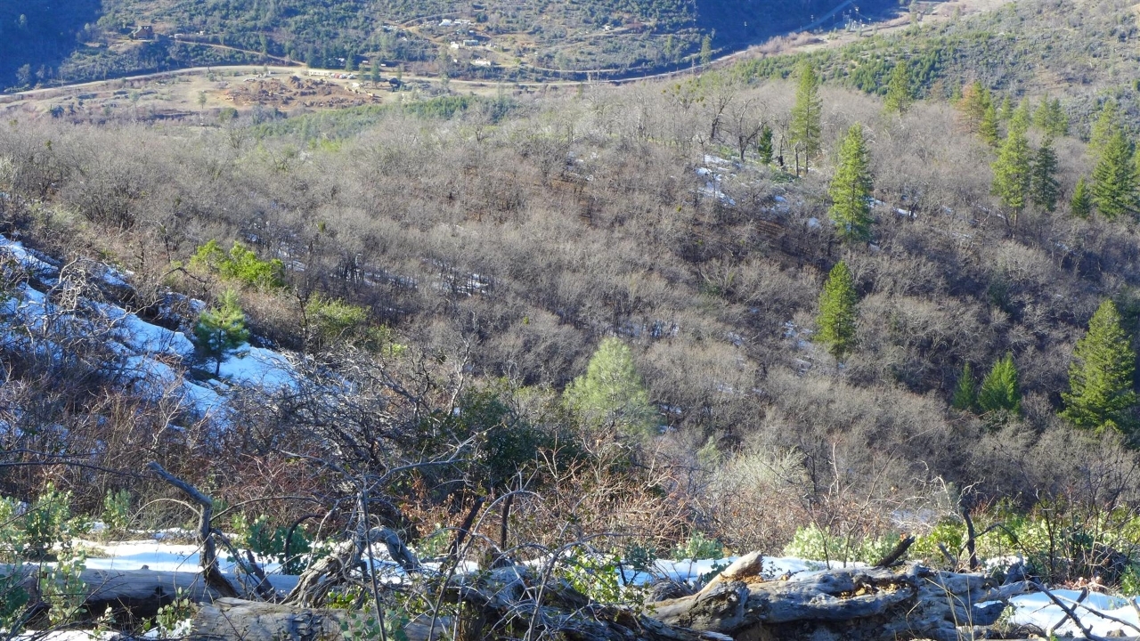 159-acres 159-acres Merry Mountain Road French Gulch, CA 96033 - Photo 19 of 26 P1000109
