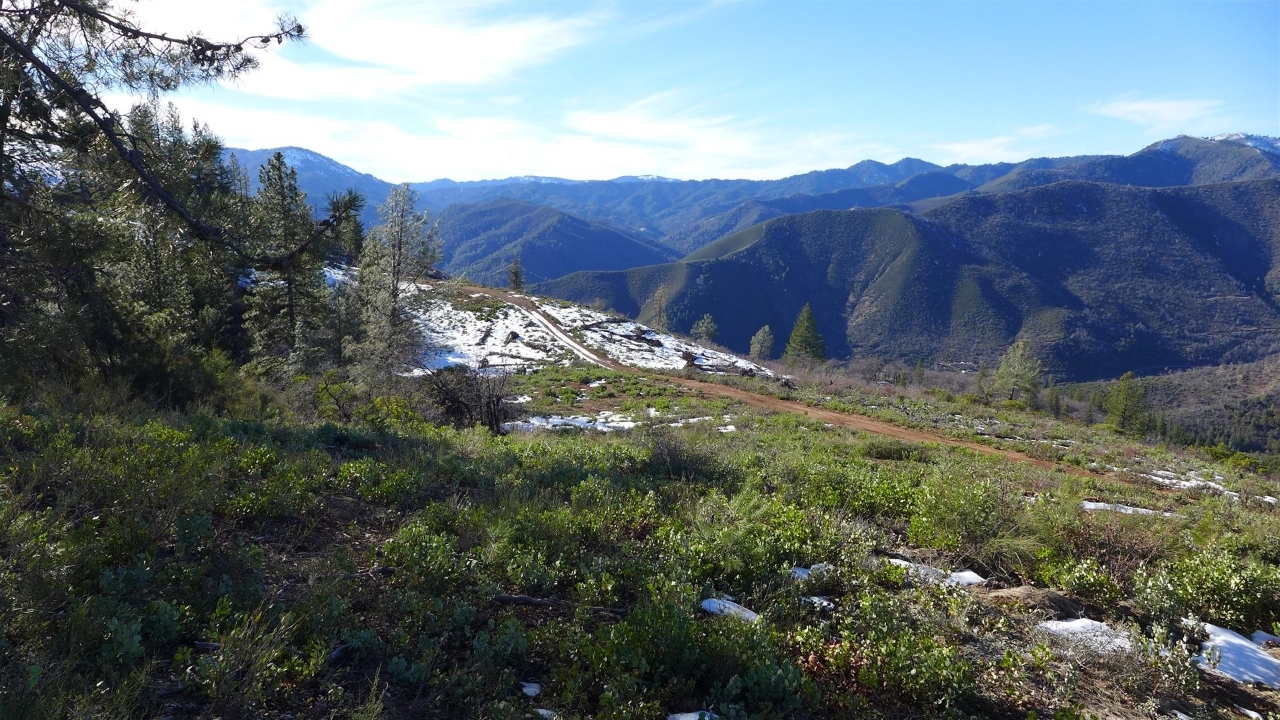 159-acres 159-acres Merry Mountain Road French Gulch, CA 96033 - Photo 23 of 26 P1000121