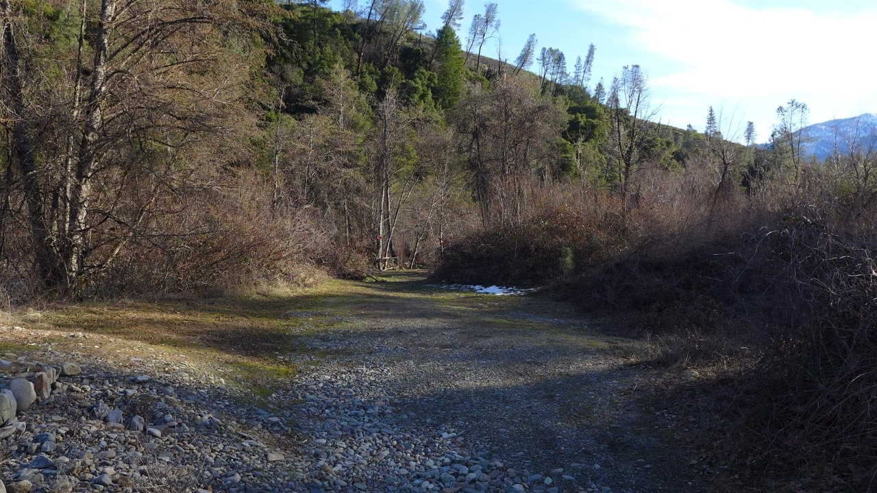 159-acres 159-acres Merry Mountain Road French Gulch, CA 96033 - Photo 8 of 26 P1000131