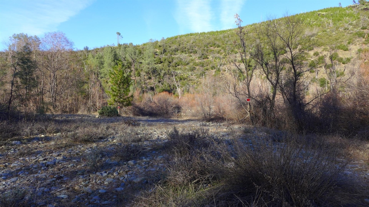 159-acres 159-acres Merry Mountain Road French Gulch, CA 96033 - Photo 9 of 26 P1000133