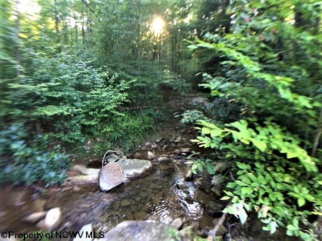 844 Hudson Road Albright, WV 26519 - Photo 18 of 20 Gallery Image 18