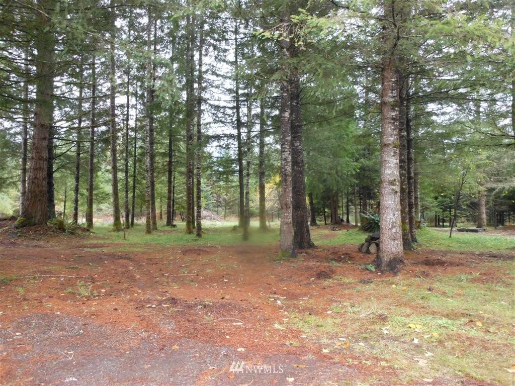 657-a&b Falls Road Randle, WA 98377 - Photo 1 of 10 Gallery Image 1