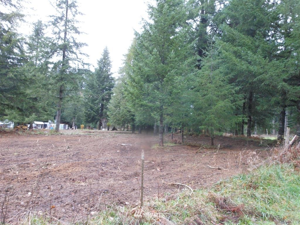 657-a&b Falls Road Randle, WA 98377 - Photo 2 of 10 Gallery Image 2