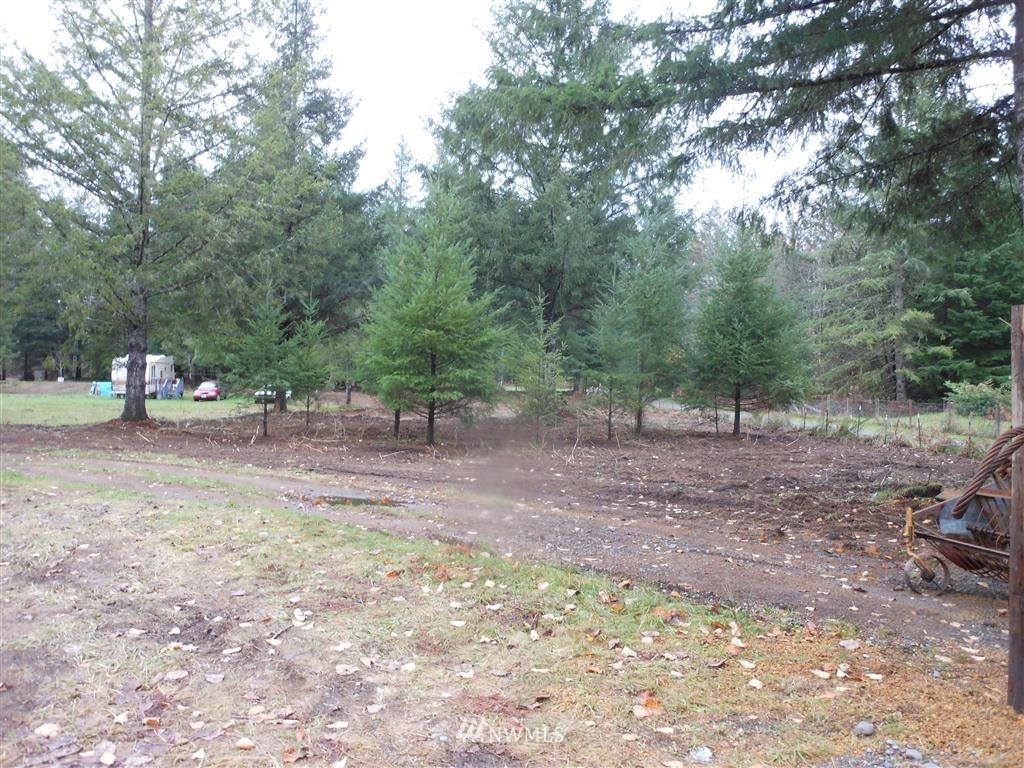 657-a&b Falls Road Randle, WA 98377 - Photo 3 of 10 Gallery Image 3