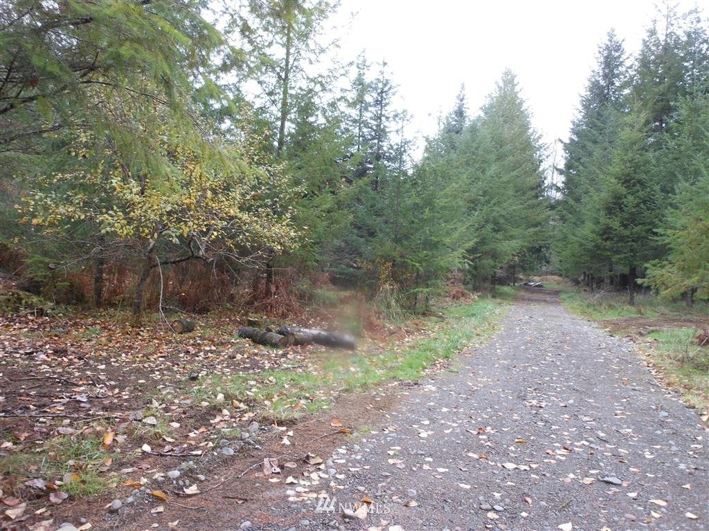 657-a&b Falls Road Randle, WA 98377 - Photo 4 of 10 Gallery Image 4