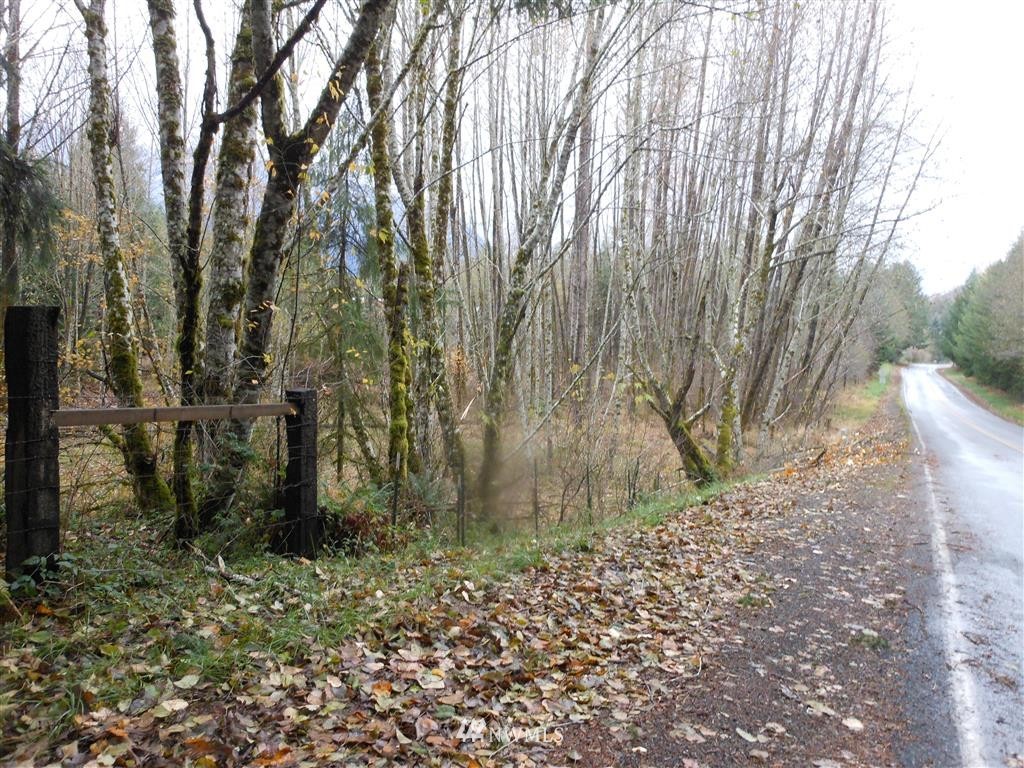 657-a&b Falls Road Randle, WA 98377 - Photo 5 of 10 Gallery Image 5